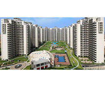 Exquisite 3 & 4 BHK Flats in Sector 81, Gurgaon