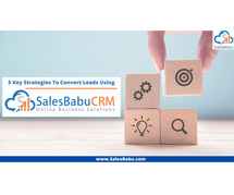 5 Key Strategies to Convert Leads Using SalesBabu CRM Software