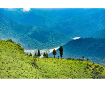 Explore Sikkim With Well-Planned Honeymoon Packages