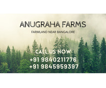 Invest in Elegance: Best Managed Farmland Near Bangalore at Anugraha Farms.