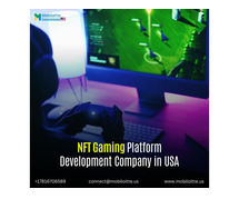 NFT Gaming Platform Development Company in USA