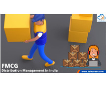 Distribution Management System – Leveraging Technology to Revolutionize FMCG In India