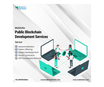 Public Blockchain Development Services