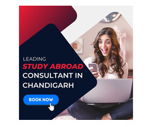 Leading Study Abroad Consultant In Chandigarh