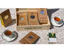 Makaibari: Sip the Secrets of the Best Darjeeling Tea!