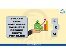 6 Ways CRM Software Can Help Reduce Costs for SMEs