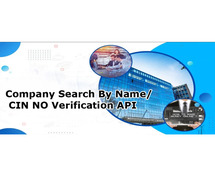 Best Company verification By DIN API Service Provider