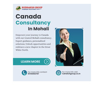 Canadian Visa Applications does Canada Consultancy in Mohali Specialize In