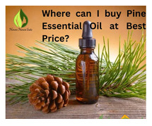 Where can I buy Pine Essential Oil at Best Price?