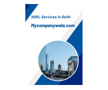 XBRL Services in Delhi | XBRL Conversion Services in Delhi