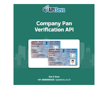 Best Company Pan Validation API Provider Company