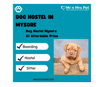Best Dog Sitter Mysore at Affordable Price