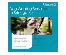 Expert Dog Walking Services Srinagar-jk