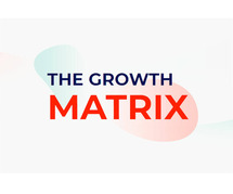 Growth Matrix PDF Audits – How Does it Work?