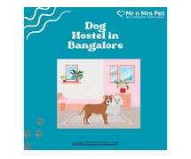 Dog Hostel & Pet Boarding Service in Bangalore