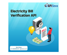Affordable Online Instant Electricity Bill Fetch API Service