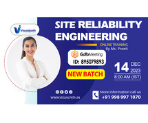 Site Reliability Engineering (SRE) New Online Batch