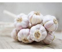 Benefits of Garlic For Health