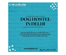 Dog Hostel & Pet Boarding Service in Delhi NCR