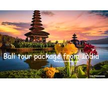 Book Bali tour package from India at affordable price - Travel Case