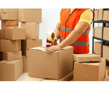 Fed Ex Gurgaon Packers and Movers