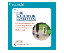 Dog Walkers in Hyderabad