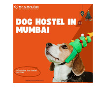 Dog Hostel & Pet Boarding Service in Mumbai