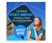 Leading Study Abroad Consultant In Chandigarh