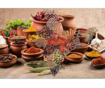 Step into a World of Flavor: The Garden of Spices of India