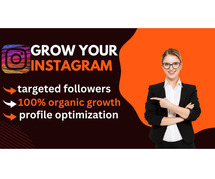 I will instagram promotion for organic growth on your social account