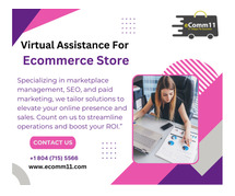Virtual Assistant For Ecommerce Store