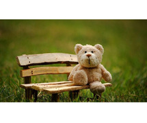 Send Soft Toys Online in India