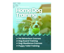 Professional Dog Training School in Delhi