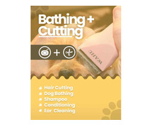 Dog Grooming Services at Home in Delhi
