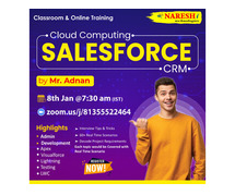 SalesForce Training in Hyderabad - Naresh i Technologies