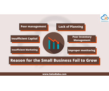 THE #1 REASON SMALL BUSINESSES FAIL TO GROW