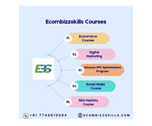 Unlocking Digital Success: Learn Ecommerce with EcomBizzSkills