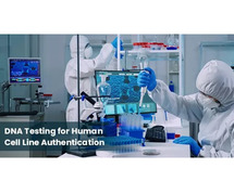Verify Cell Identity with the Best Cell line Authentication Test in India