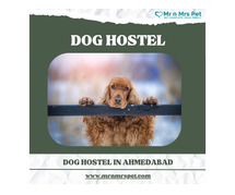 Dog Hostel & Pet Boarding Service in Ahmedabad