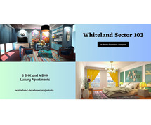 Whiteland Sector 103 Dwarka Expressway Gurgaon - Amenities What Your Deserve