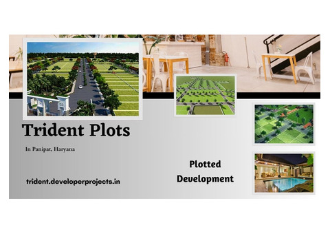 Trident Plots Panipat | Celebrate The Saving In This Summer