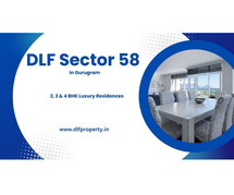 DLF Sector 58 Gurgaon - Cool Apartments. Hot Design