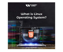 What is Linux Operating System?