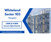 Whiteland Sector 103 Gurgaon - Classic Beauty With Stunning Views