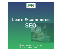 Learn ecommerce SEO | ecommerce |ecombizzskills