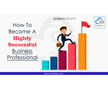 How To Become A Highly Successful Business Professional