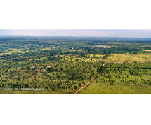 Anugraha Farms Introduces Exclusive Agricultural Land for Sale in Bangalore.