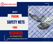 Vickey Safety Nets: Ensuring Pigeon Safety Nets in Pune