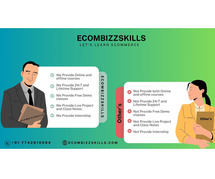 Elevate Your E-commerce Journey: Mastering Digital Marketing Skills with Ecombizz