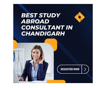 Best Study Abroad Consultant In Chandigarh